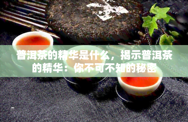 普洱茶的精华是什么，揭示普洱茶的精华：你不可不知的秘密