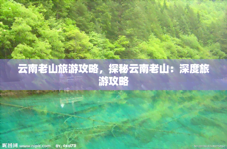 云南老山旅游攻略，探秘云南老山：深度旅游攻略