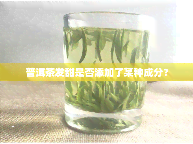 普洱茶发甜是否添加了某种成分？