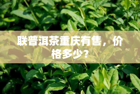 联普洱茶重庆有售，价格多少？