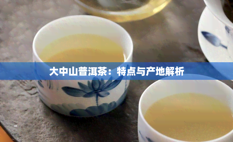 大中山普洱茶：特点与产地解析