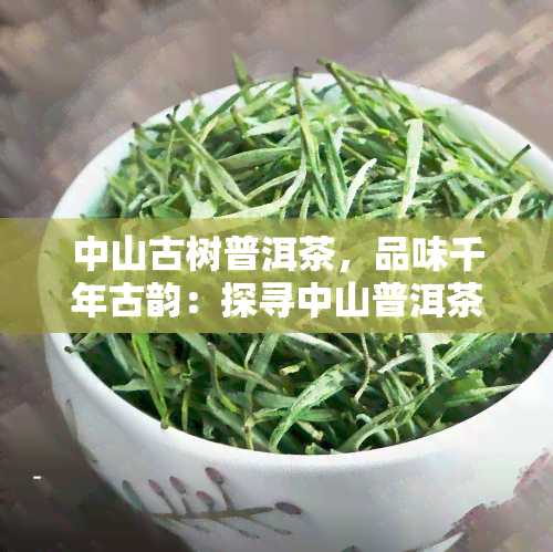 中山古树普洱茶，品味千年古韵：探寻中山普洱茶的魅力