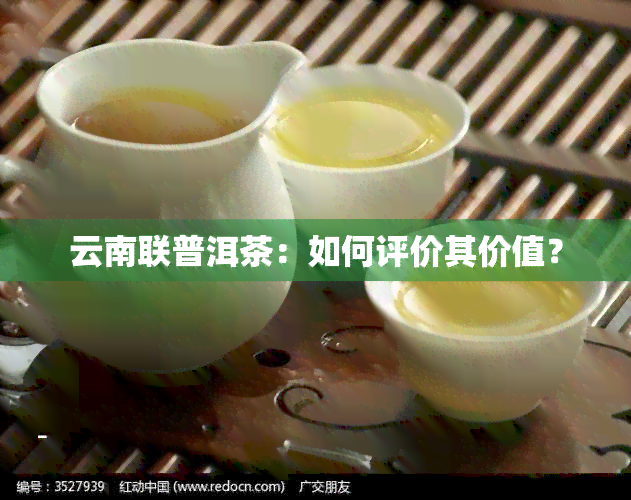 云南联普洱茶：如何评价其价值？