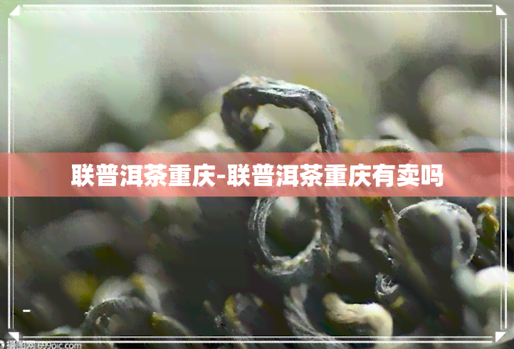 联普洱茶重庆-联普洱茶重庆有卖吗