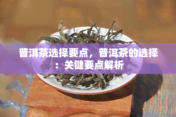 普洱茶选择要点，普洱茶的选择：关键要点解析