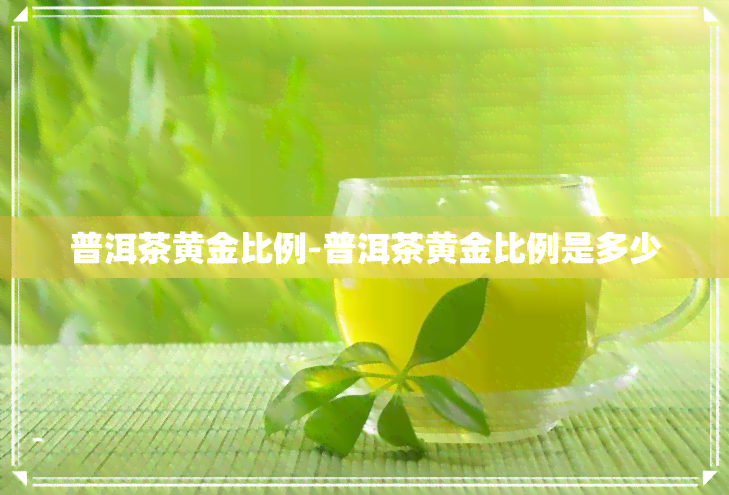 普洱茶黄金比例-普洱茶黄金比例是多少