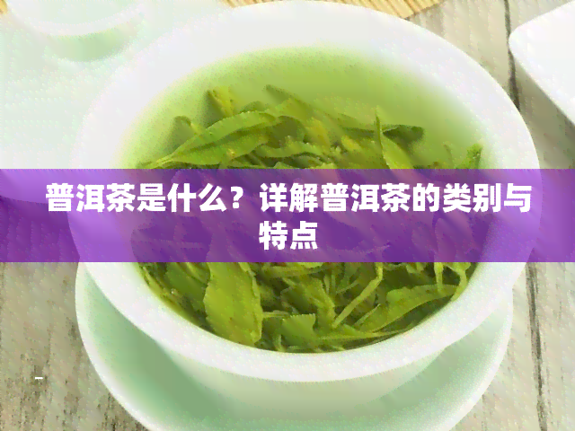 普洱茶是什么？详解普洱茶的类别与特点