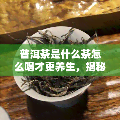 普洱茶是什么茶怎么喝才更养生，揭秘普洱茶：了解它的特性及正确冲泡方式，享受更健的饮品体验