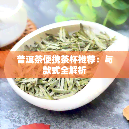 普洱茶便携茶杯推荐：与款式全解析