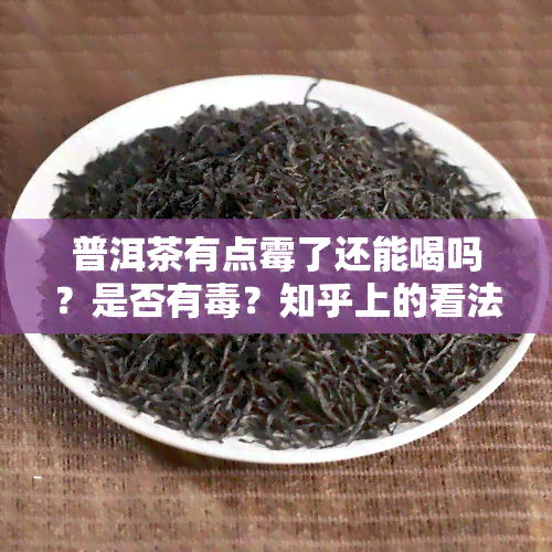 普洱茶有点霉了还能喝吗？是否有？知乎上的看法