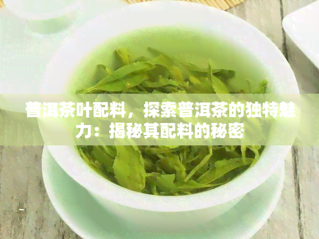 普洱茶叶配料，探索普洱茶的独特魅力：揭秘其配料的秘密