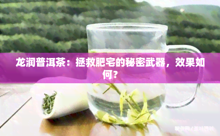 龙润普洱茶：拯救肥宅的秘密武器，效果如何？