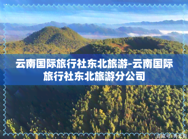 云南国际旅行社东北旅游-云南国际旅行社东北旅游分公司