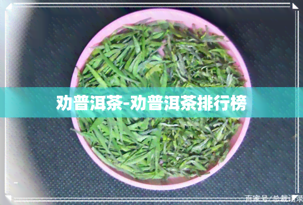 劝普洱茶-劝普洱茶排行榜