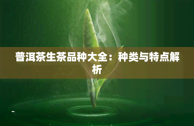 普洱茶生茶品种大全：种类与特点解析