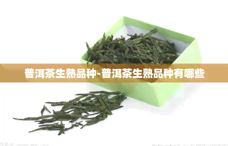 普洱茶生熟品种-普洱茶生熟品种有哪些