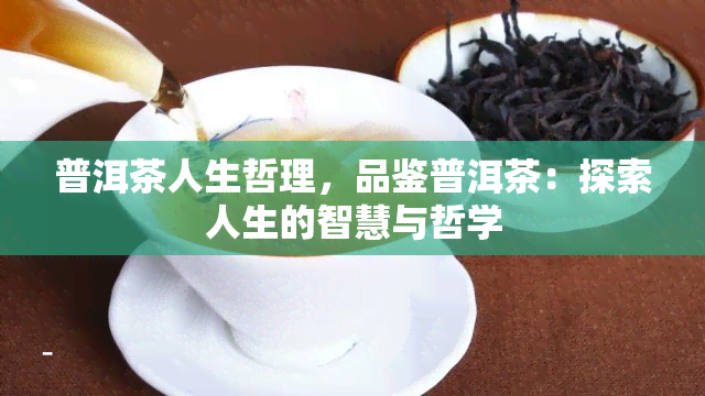 普洱茶人生哲理，品鉴普洱茶：探索人生的智慧与哲学