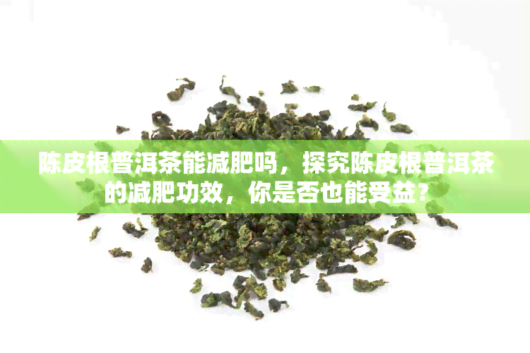 陈皮根普洱茶能减肥吗，探究陈皮根普洱茶的减肥功效，你是否也能受益？