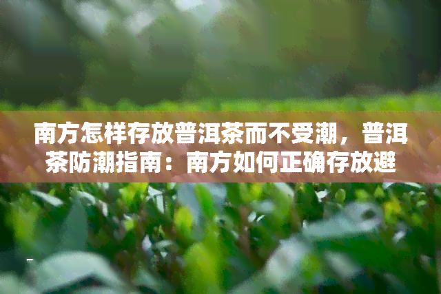 南方怎样存放普洱茶而不受潮，普洱茶防潮指南：南方如何正确存放避免受潮？