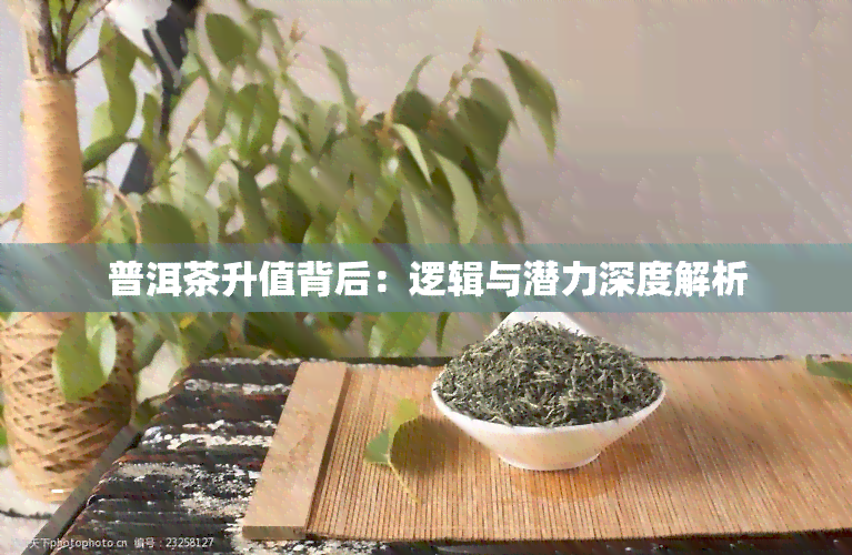 普洱茶升值背后：逻辑与潜力深度解析