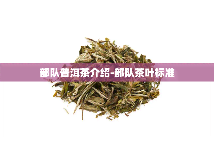 部队普洱茶介绍-部队茶叶标准