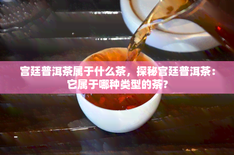 宫廷普洱茶属于什么茶，探秘宫廷普洱茶：它属于哪种类型的茶？