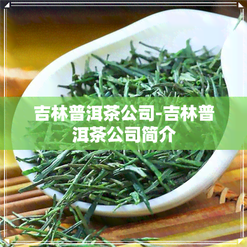 吉林普洱茶公司-吉林普洱茶公司简介