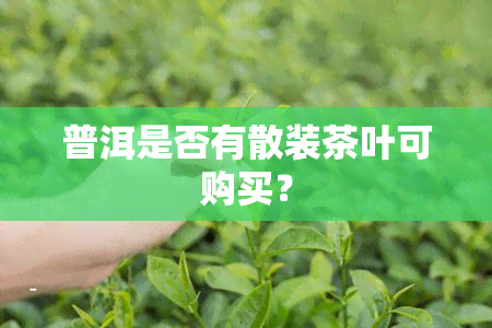 普洱是否有散装茶叶可购买？