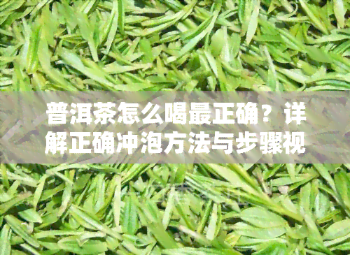 普洱茶怎么喝最正确？详解正确冲泡方法与步骤视频