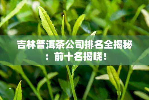 吉林普洱茶公司排名全揭秘：前十名揭晓！