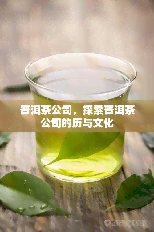 普洱茶公司，探索普洱茶公司的历与文化