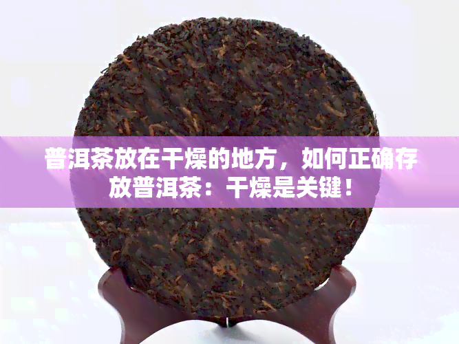 普洱茶放在干燥的地方，如何正确存放普洱茶：干燥是关键！