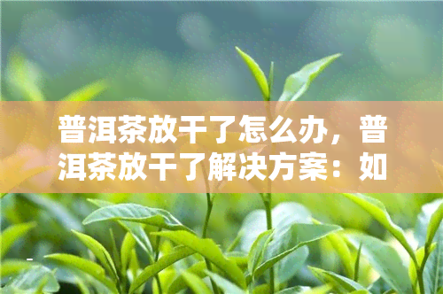 普洱茶放干了怎么办，普洱茶放干了解决方案：如何让干燥的茶叶重新焕发生机？