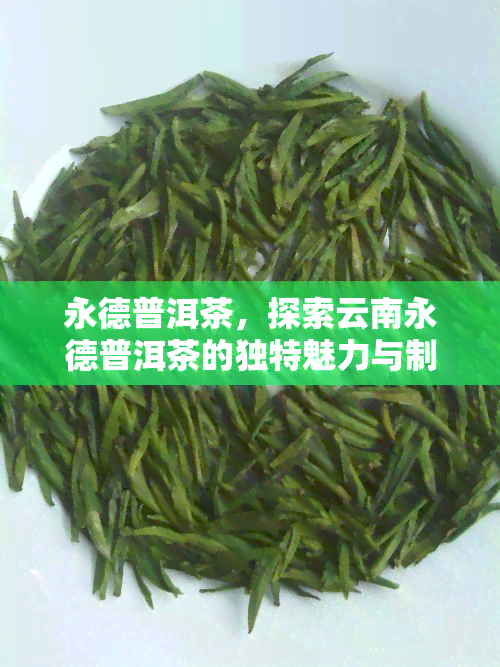 永德普洱茶，探索云南永德普洱茶的独特魅力与制作工艺