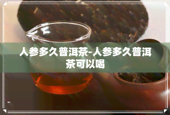 人参多久普洱茶-人参多久普洱茶可以喝