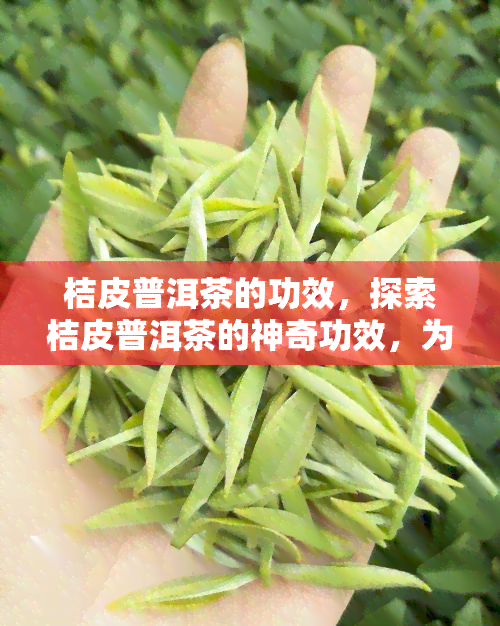 桔皮普洱茶的功效，探索桔皮普洱茶的神奇功效，为你带来健生活新体验！