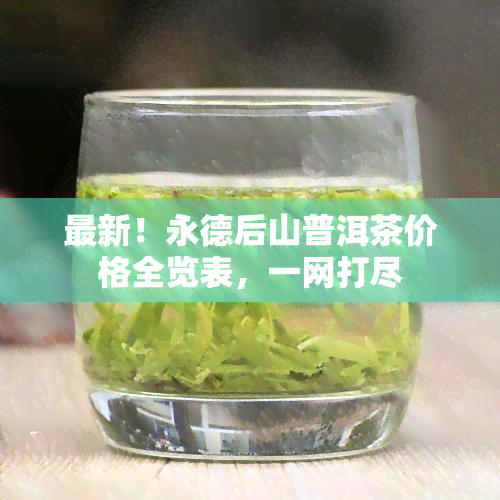 最新！永德后山普洱茶价格全览表，一网打尽