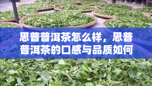 思普普洱茶怎么样，思普普洱茶的口感与品质如何？一起来了解