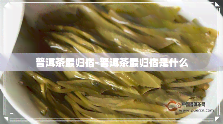 普洱茶最归宿-普洱茶最归宿是什么