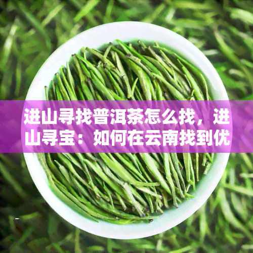 进山寻找普洱茶怎么找，进山寻宝：如何在云南找到优质的普洱茶？