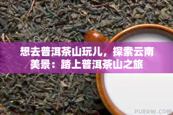 想去普洱茶山玩儿，探索云南美景：踏上普洱茶山之旅