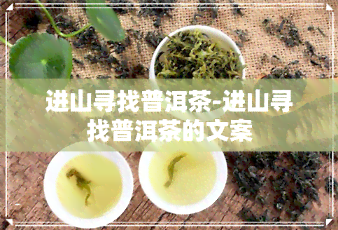 进山寻找普洱茶-进山寻找普洱茶的文案