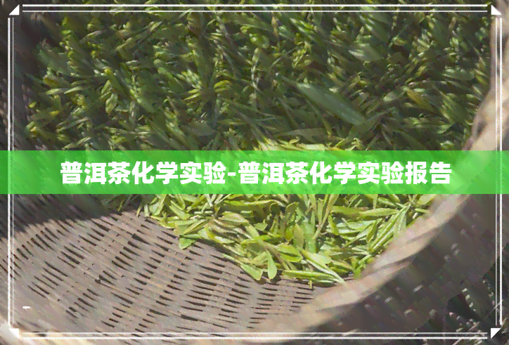 普洱茶化学实验-普洱茶化学实验报告