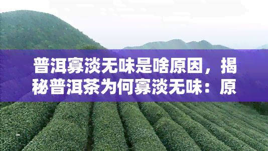 普洱寡淡无味是啥原因，揭秘普洱茶为何寡淡无味：原因解析