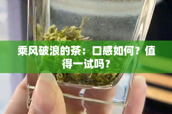 乘风破浪的茶：口感如何？值得一试吗？