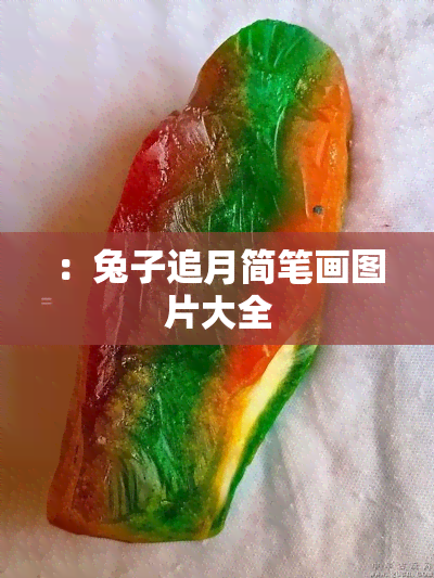 ：兔子追月简笔画图片大全