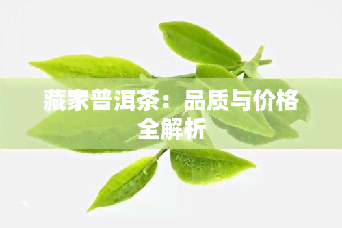 藏家普洱茶：品质与价格全解析