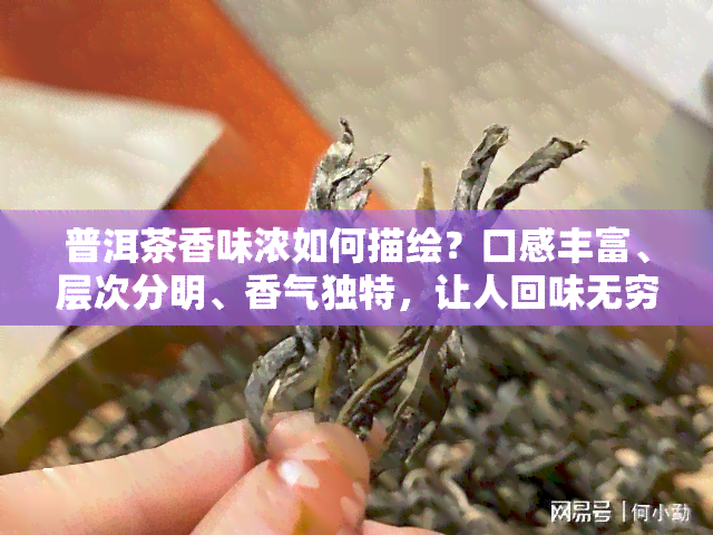 普洱茶香味浓如何描绘？口感丰富、层次分明、香气独特，让人回味无穷。