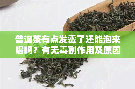 普洱茶有点发霉了还能泡来喝吗？有无副作用及原因解析