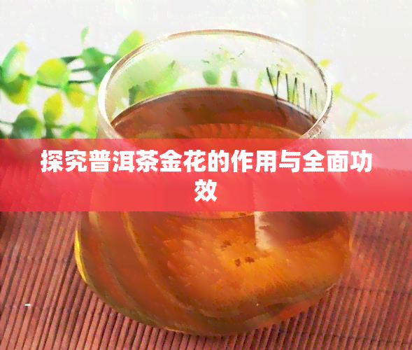 探究普洱茶金花的作用与全面功效